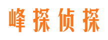 大荔市场调查